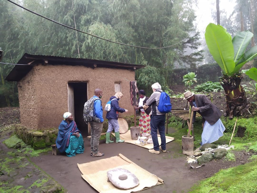 Traditional Healer Experience