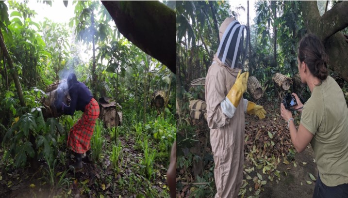 Beekeeping Experience (1-2 hours)