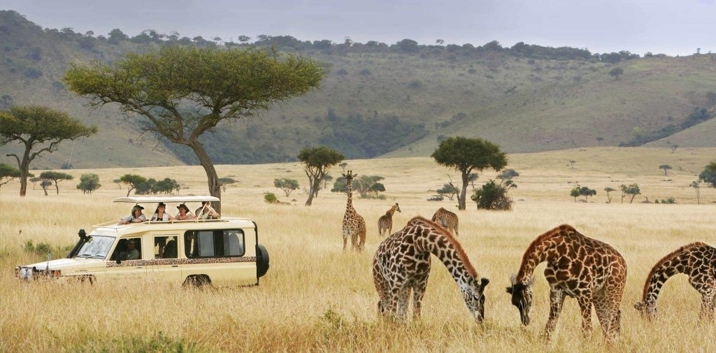 6-Day Best of Uganda Safari