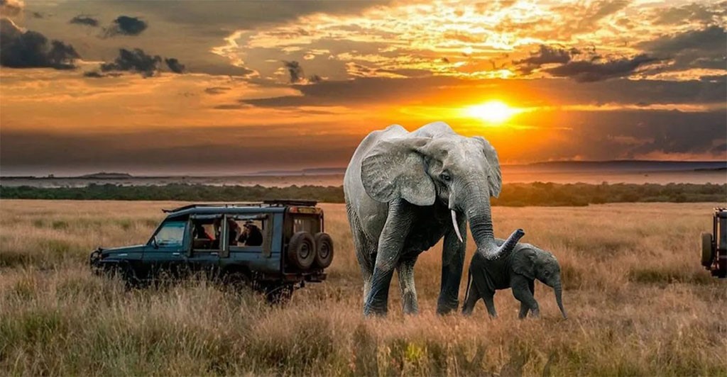 14 Days Best of Rwanda & Uganda Safari