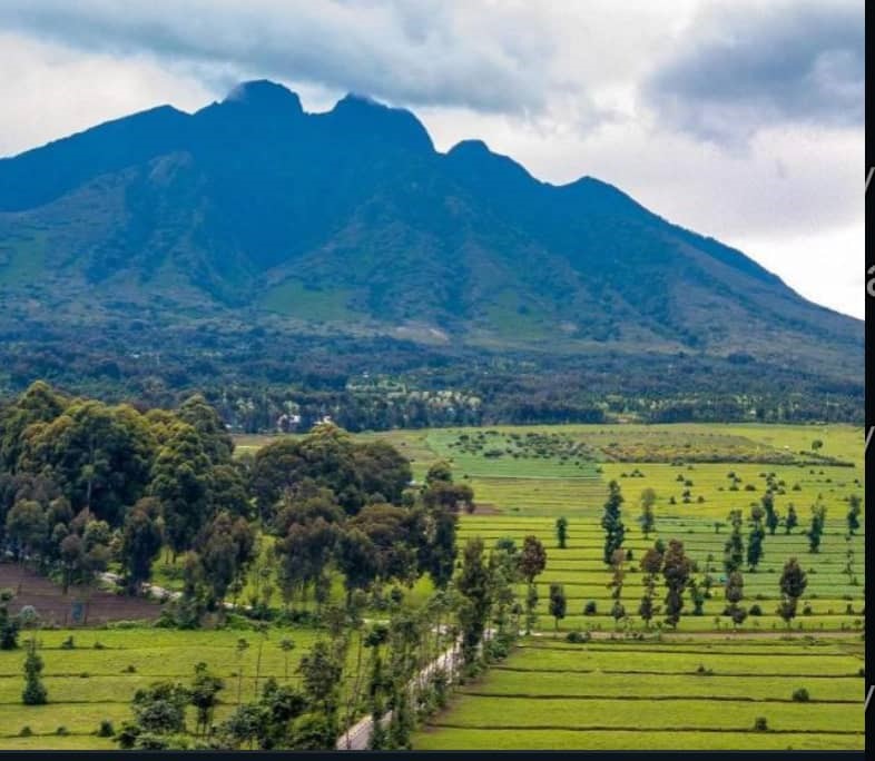 30Day East Africa Grand Expedition
