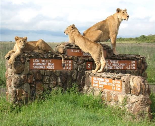 10 Days Kenya Safari - Top Tourist Attractions