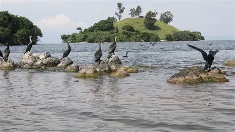 Gallery image 7